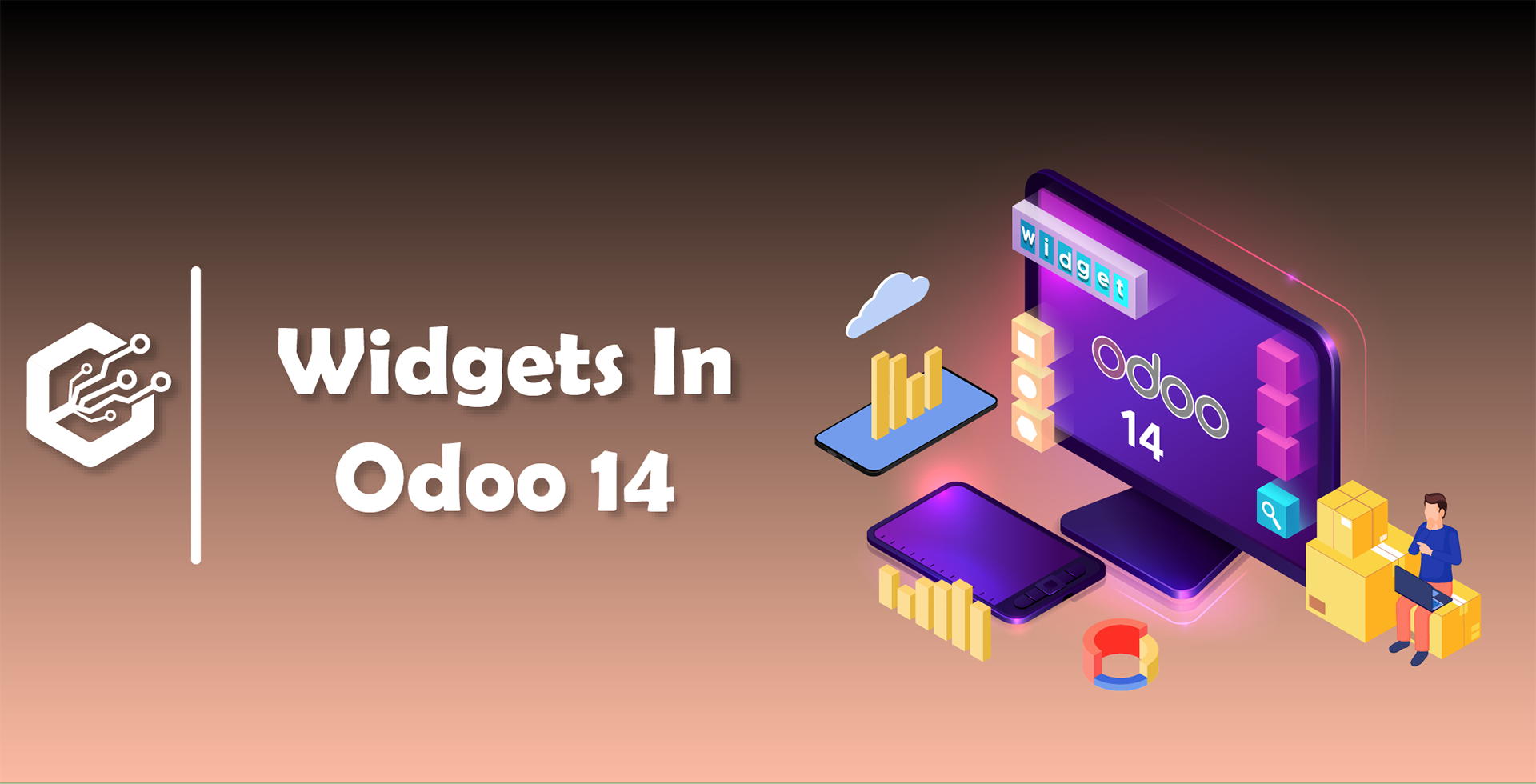 Widgets In Odoo 14 | CandidRoot Solutions