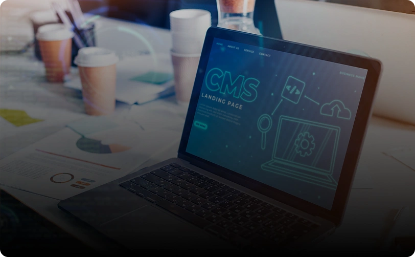 Wordpress Customization